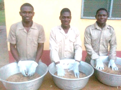 Agric students turn cassava peels into animal feed - Graphic Online
