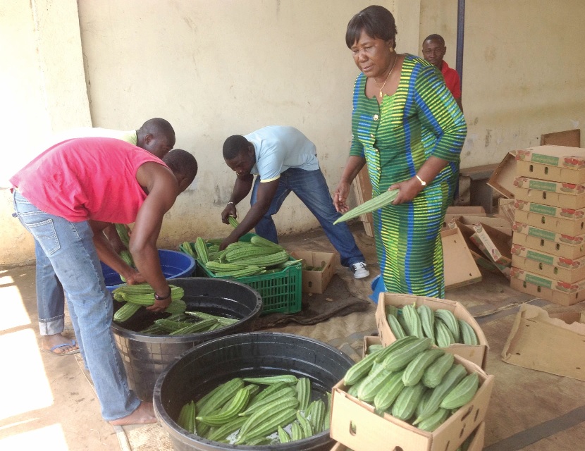 Mrs Opuni and some of her staff samplying some of the vegetables that the company exports