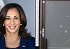 Kamala Harris campaign office damaged by gunfire days ahead of scheduled rally