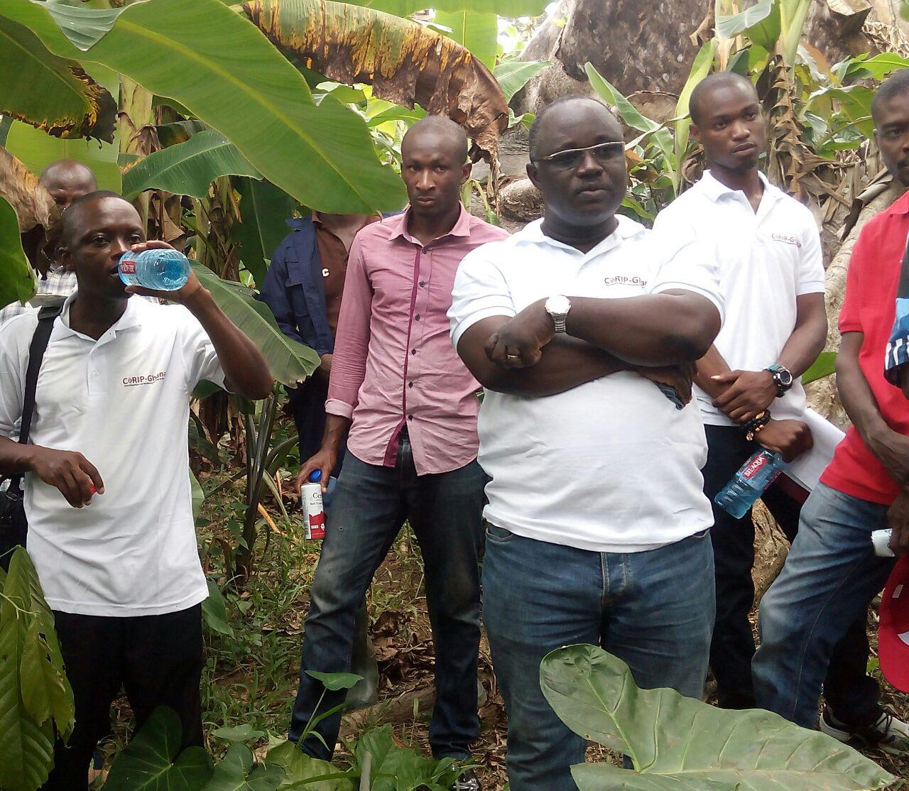 CORIP-Ghana train cocoa farmers to increase yield