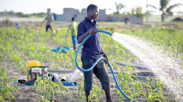 Ghana Agricultural Insurance Pool (GAIP) to address the myriad of issues threatening the Agric sector