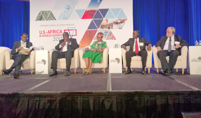 Mr Alan Kyerematen (2nd left) explaining a point at the summit