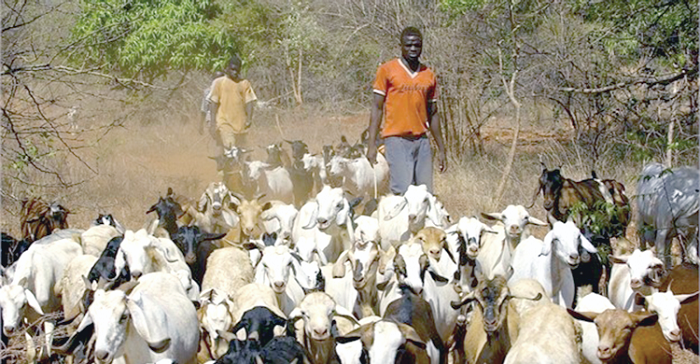 African farmers keep looking at more creative ways of dealing with climate changes