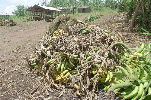 The Parliamentary Select Committee on Agriculture and Cocoa Affairs has been urged to help address issues of post-harvest loss in the country. 