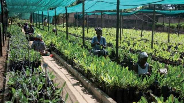 Agriculture Fast Track Fund to launch 17 new projects