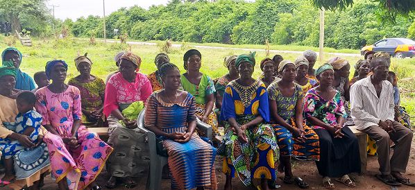 Productive Groundnut Farming For Women Farmers - Graphic Online