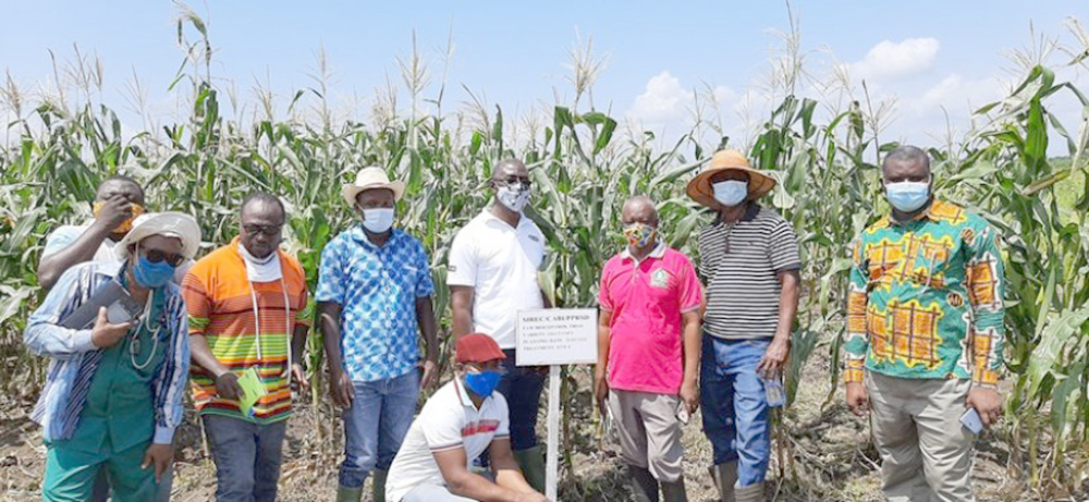 The group of researchers during the field visit