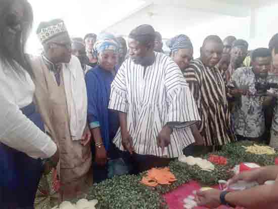 Mr Saeed (3rd left), Northern Regional Minister, and other dignitaries at one of the stands. Picture: Samuel Duodu