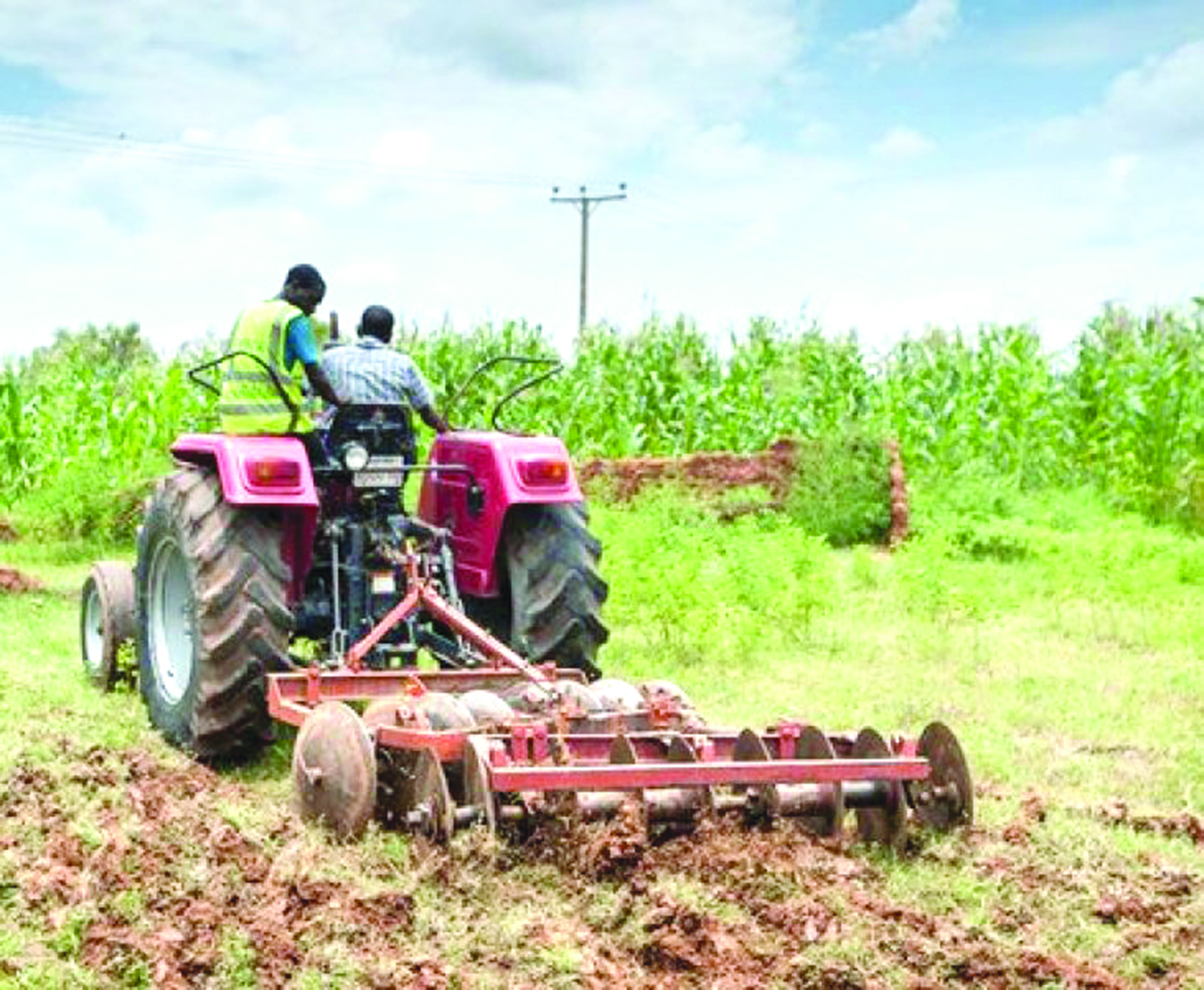   Experts say besides improving productivity, mechanisation encourages large-scale production and improves the quality of farm produce