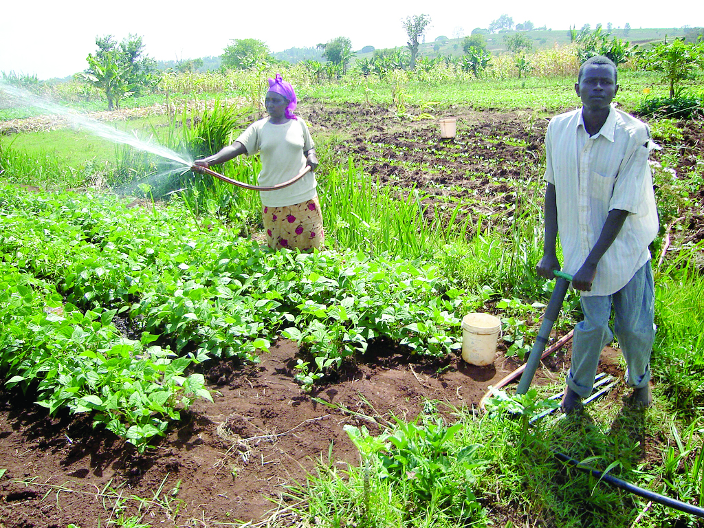 Government introduced the PFJ to revamp the agric sector 