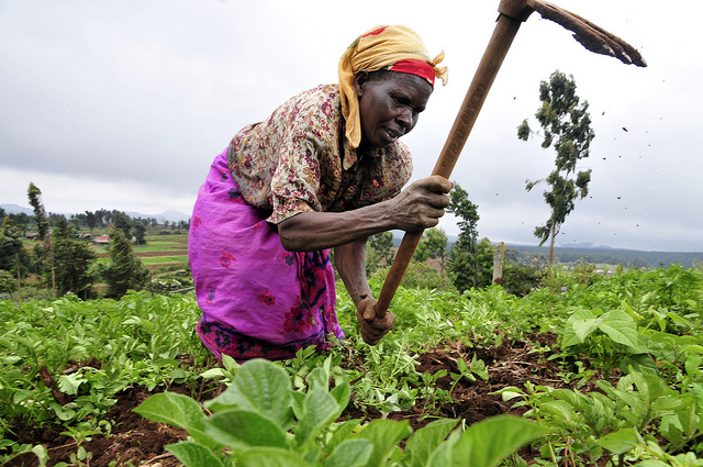 AfDB delivers on a decade of transformative commitments to reduce poverty