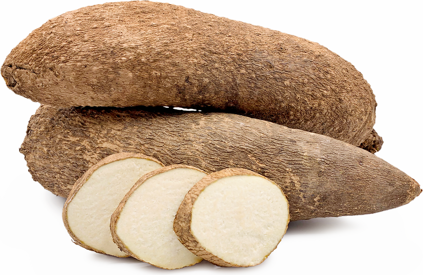 Strategy to develop yam value chain developed 