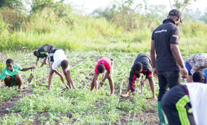 The youth should be supported to participate in modern agriculture practices and agricultural enterprises along the value chain