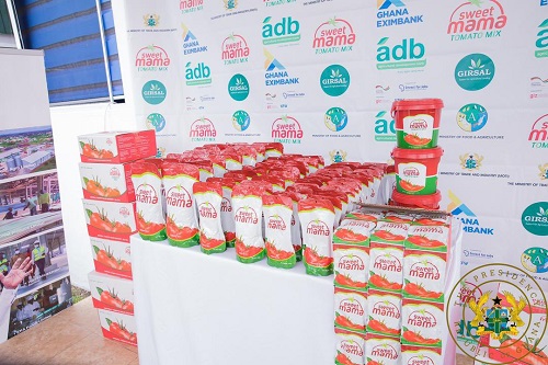 Domfete: Prez Akufo-Addo commissions $16m 1D1F tomato processing factory