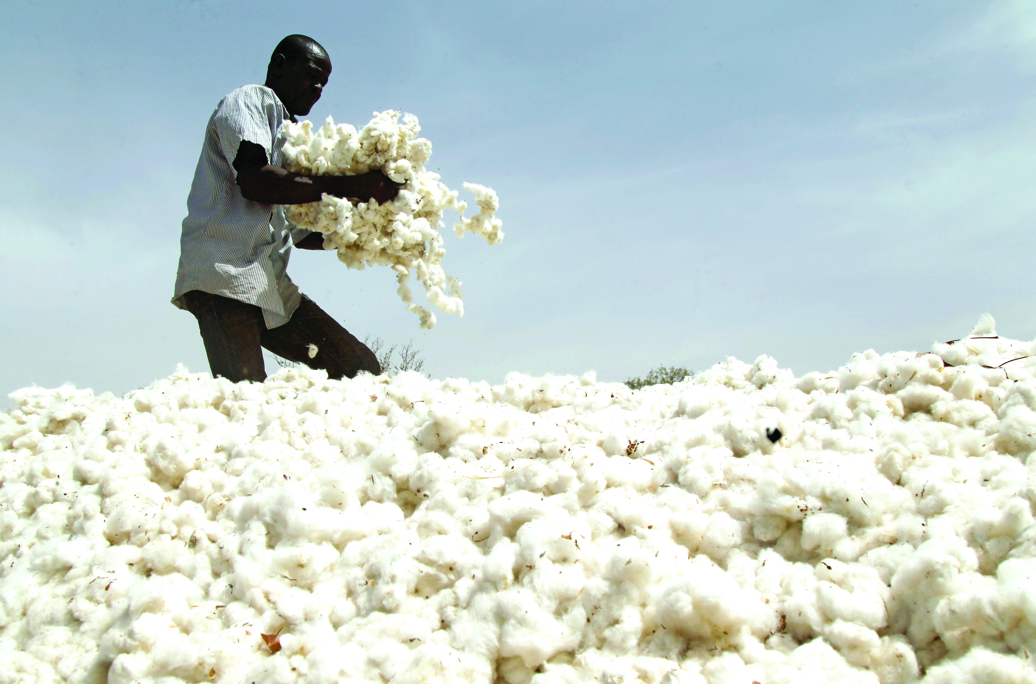  There are over 20 million smallholder cotton farmers in Africa