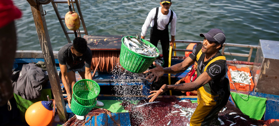 Dock workers unload fresh fish from a boat in Casablanca, Morocco.