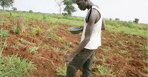 Experts say it is important to create awareness among the youth about the many entrepreneurial opportunities in agriculture such as value addition apart from farming