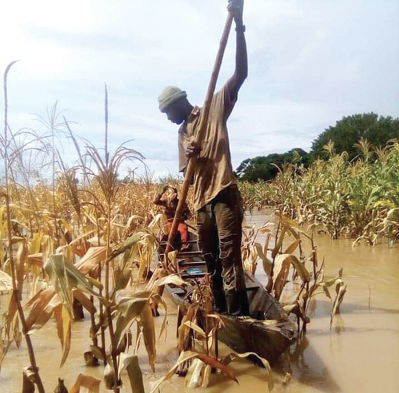 Every year, farmers lose a significant amount of their toils to disasters such as floods, making insurance critical to their businesses