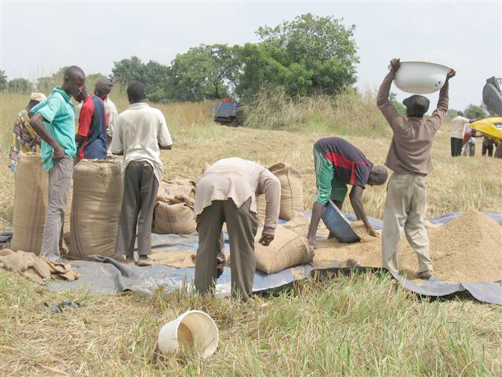  Government, in 2021, embarked on some youth in entrepreneurship to help solve the unemployment problem