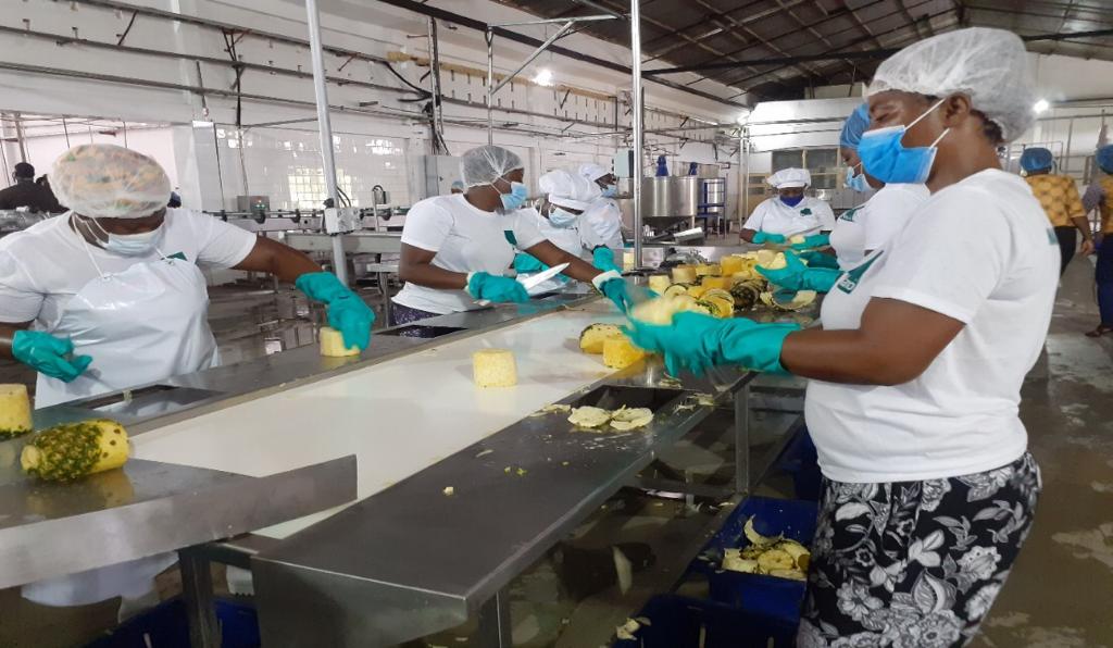 Some of the employees of Nano Foods Ltd working at the factory floor