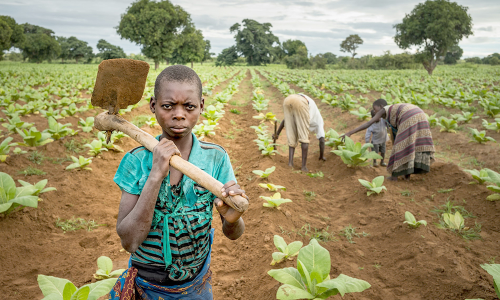  Children’s economic activities in agric are influenced by factors on the supply as well as on the demand side. 