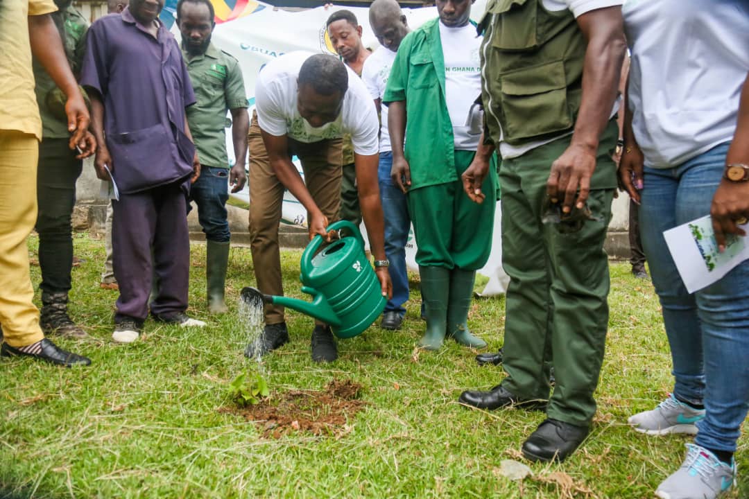 AGA pledges 1,000 seedlings yearly to support Green Ghana Day - Graphic ...