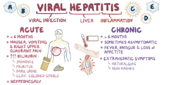 Hepatitis the silent killer - Protect your liver - Graphic Online