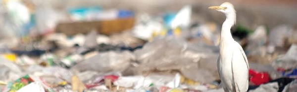 Mitigation of plastic pollution is a complex issue