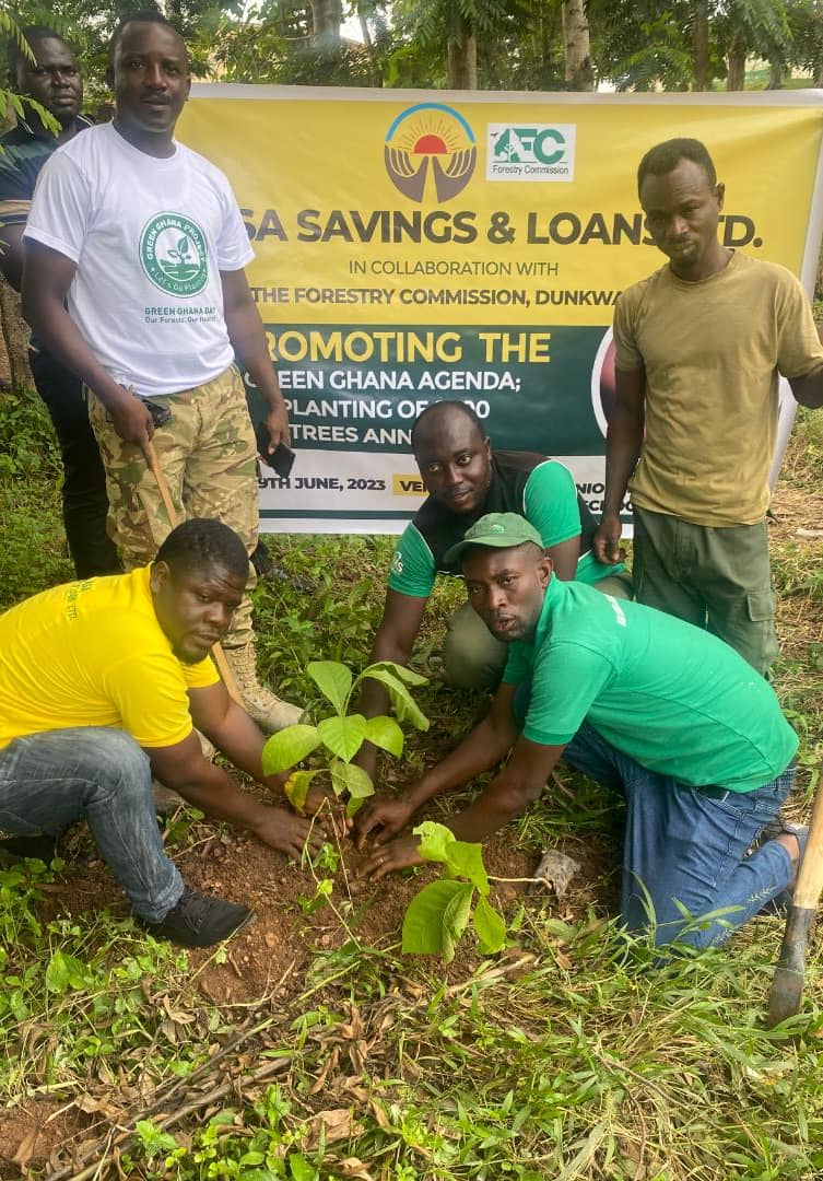 ASA Savings and loans plants 150 trees at Dunkwa-on-Offin