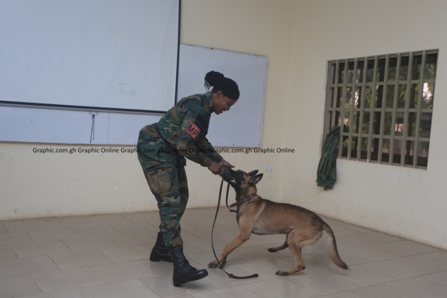 See the two dark goggles wearing dogs donated to Ghana Armed Forces by ...