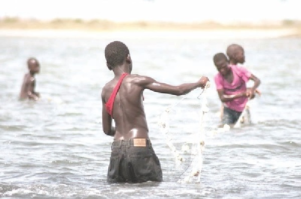 Child labour figures rise — GSS report