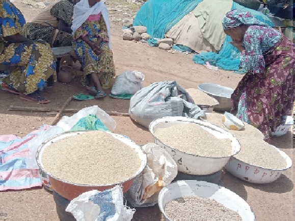 Staple food prices soar — Dry spell hits hard at Tamale traders