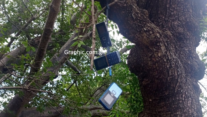 Saboba: Kucha residents still climb trees for phone network connectivity 