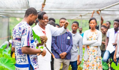 KIC and Mastercard Foundation promote agripreneurship with Market Research Tours