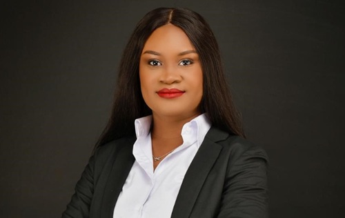 Bernice Makafui Brempong appointed CEO of Ghana Investment Promotion CentreBernice Makafui Brempong appointed CEO of Ghana Investment Promotion Centre