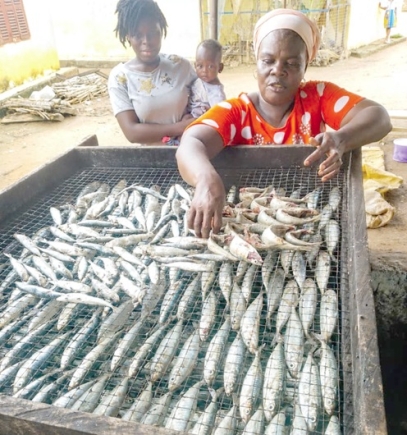 Efua Duah, a fishmonger from Abandze in the Central Region, processing her fish Efua Duah, a fishmonger from Abandze in the Central Region, processing her fish