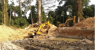 Government reclaims seven out of nine forest reserves from illegal miners